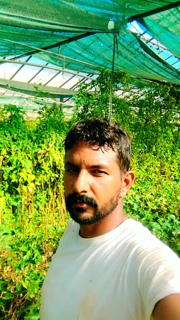 @@mudassar dhattii🇬🇷🇵🇰🇪🇺⛎