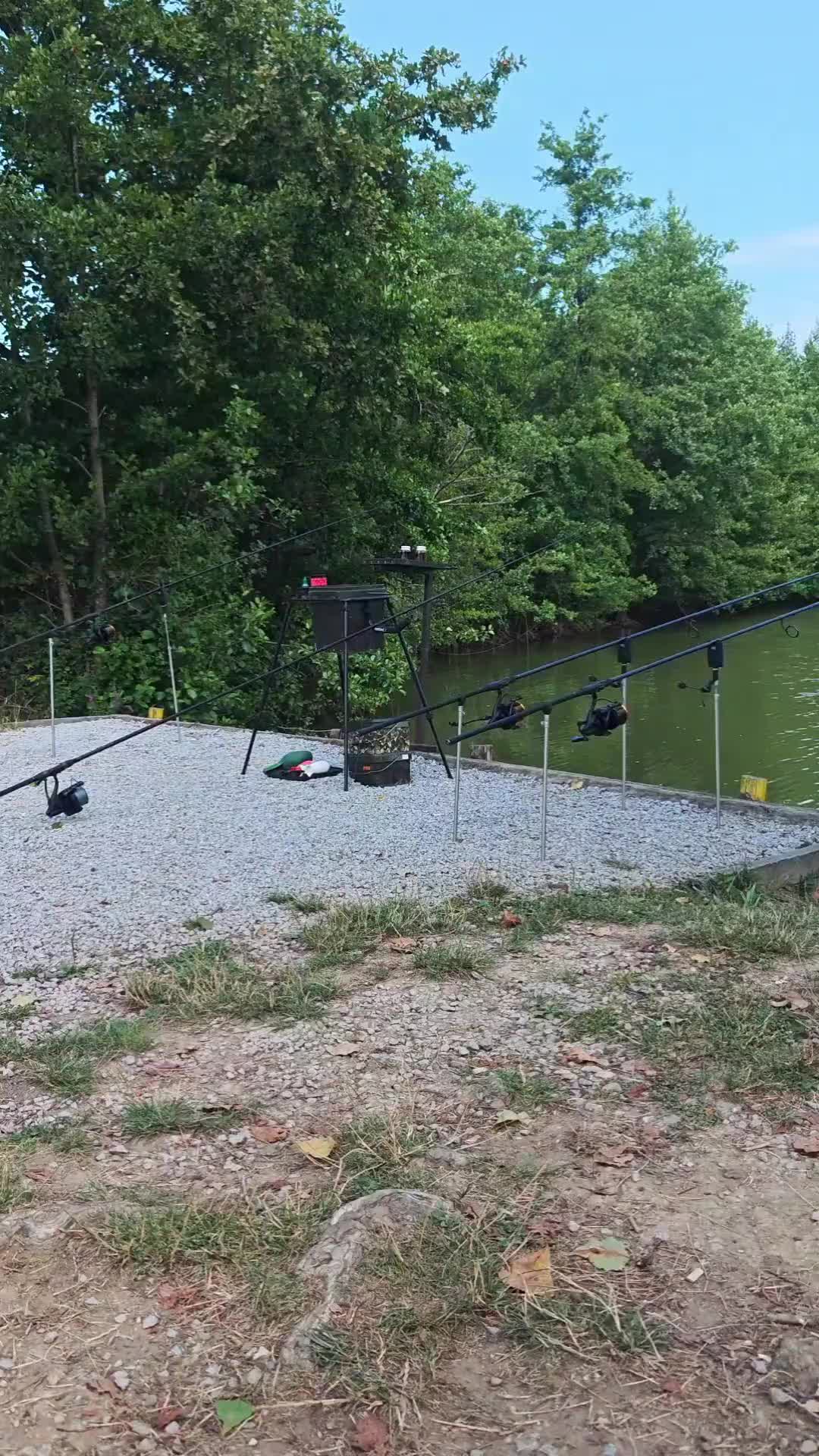 @Carp Passion -Marac