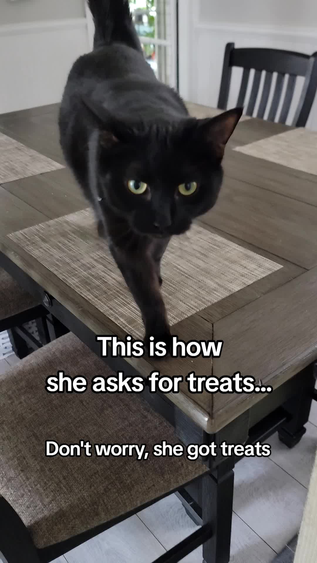 @CatCraze