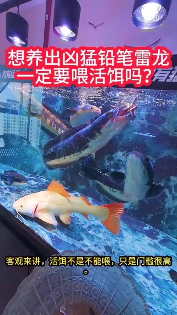 @Monsterfishkeeper