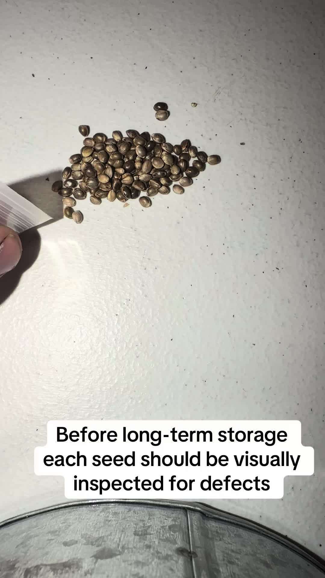 @SEEDTIVA