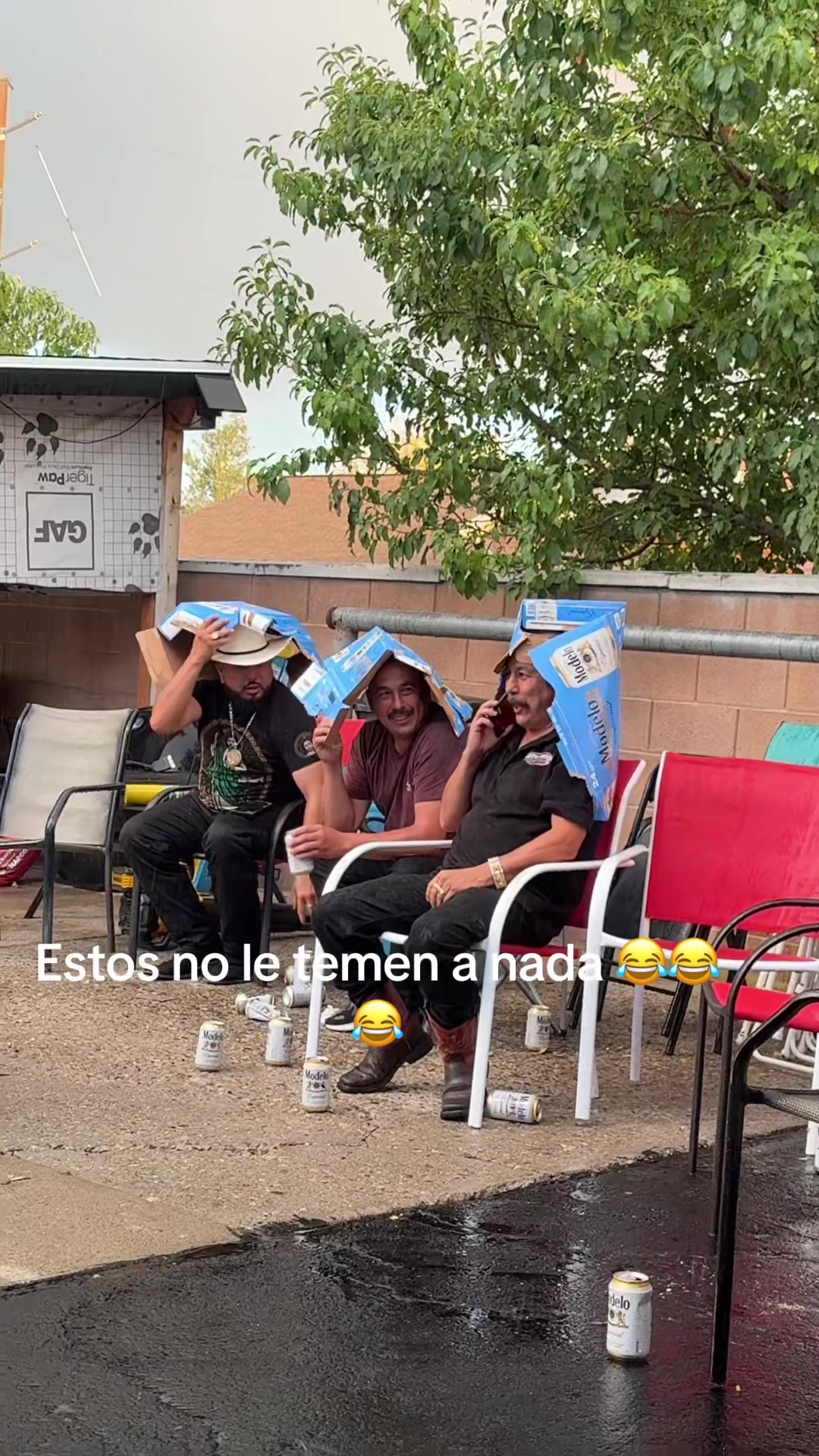 @Alondra Quezada Y Ma