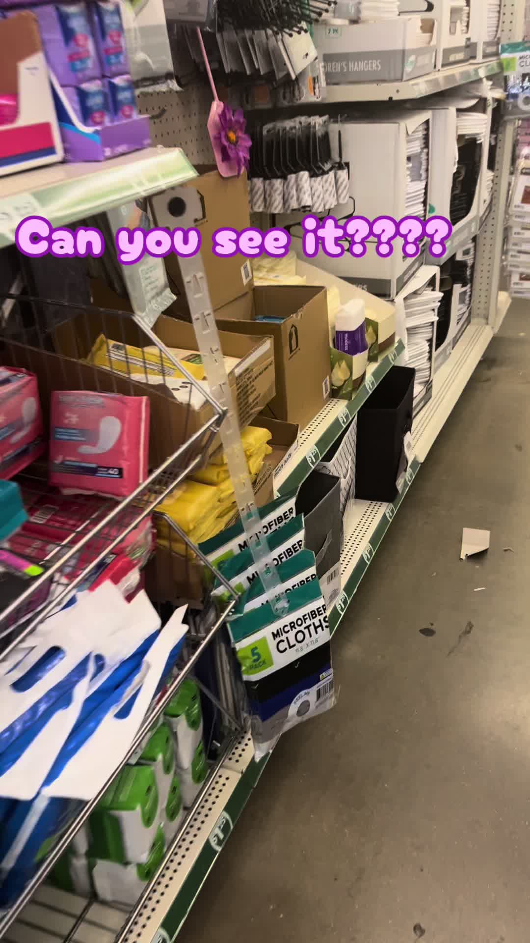 @toyapurdie💚