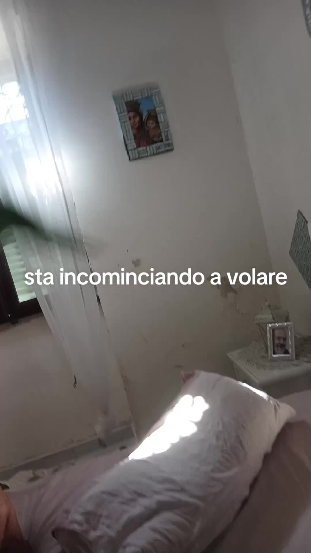 @stefania