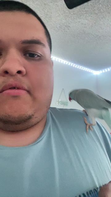 @🇲🇽juniormartinez27🇲🇽