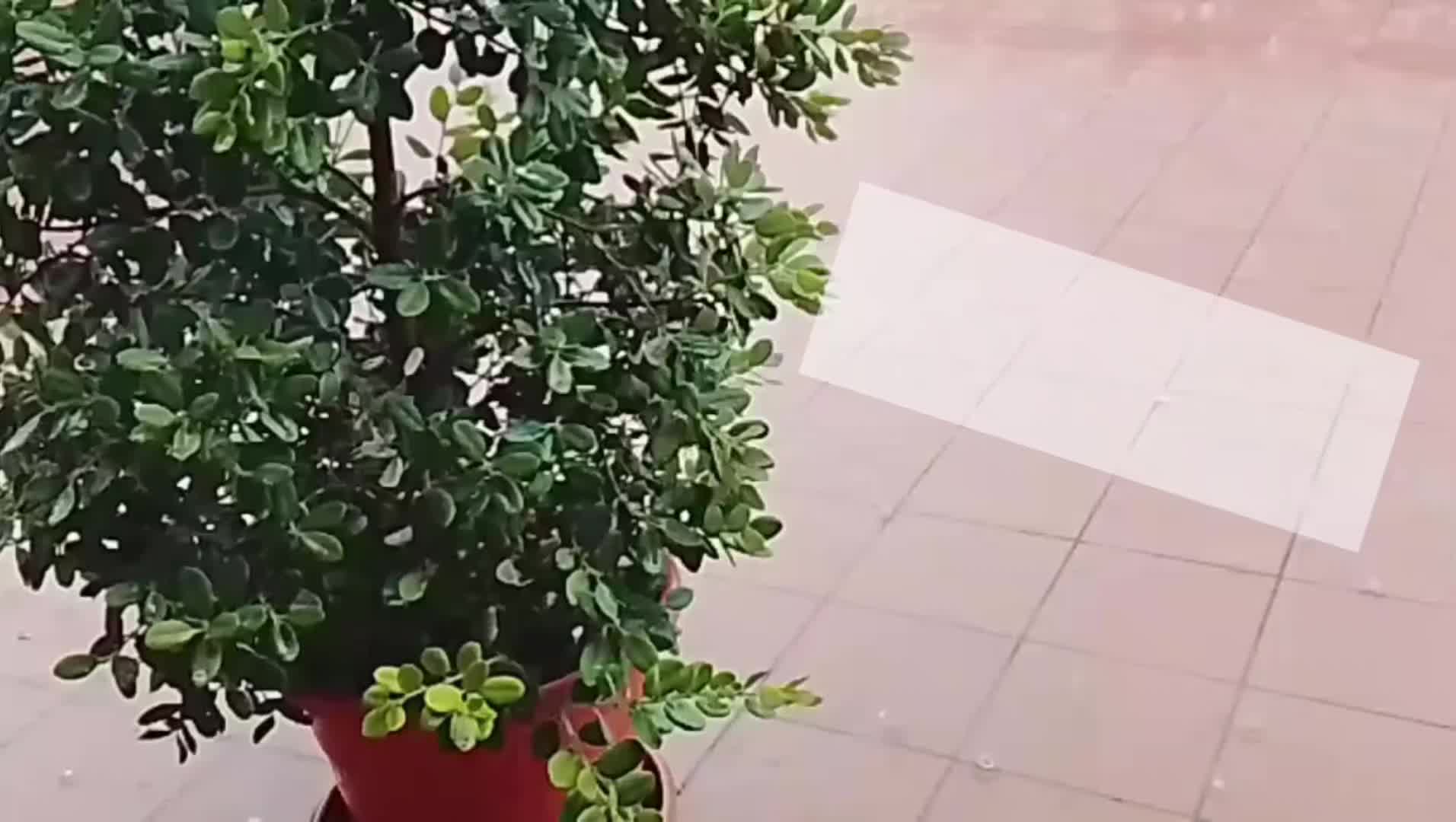 @Anna Bellamacina ♥️🔥💪🏼