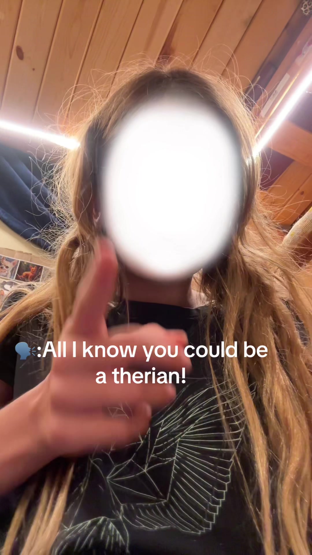 @T!mber