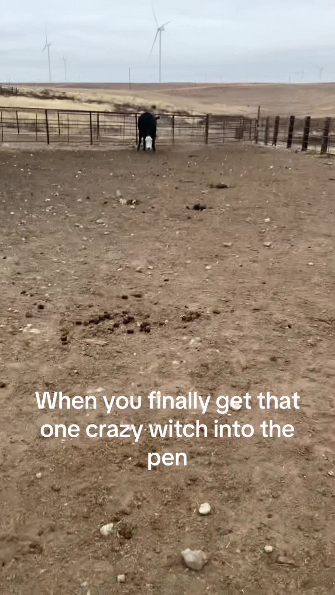 @ApacheJim