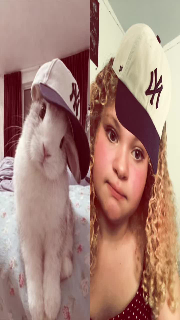 @‧͙⁺˚*･༓☾🐰 𝓪𝓻𝓲 🐿☽༓･*˚⁺‧͙