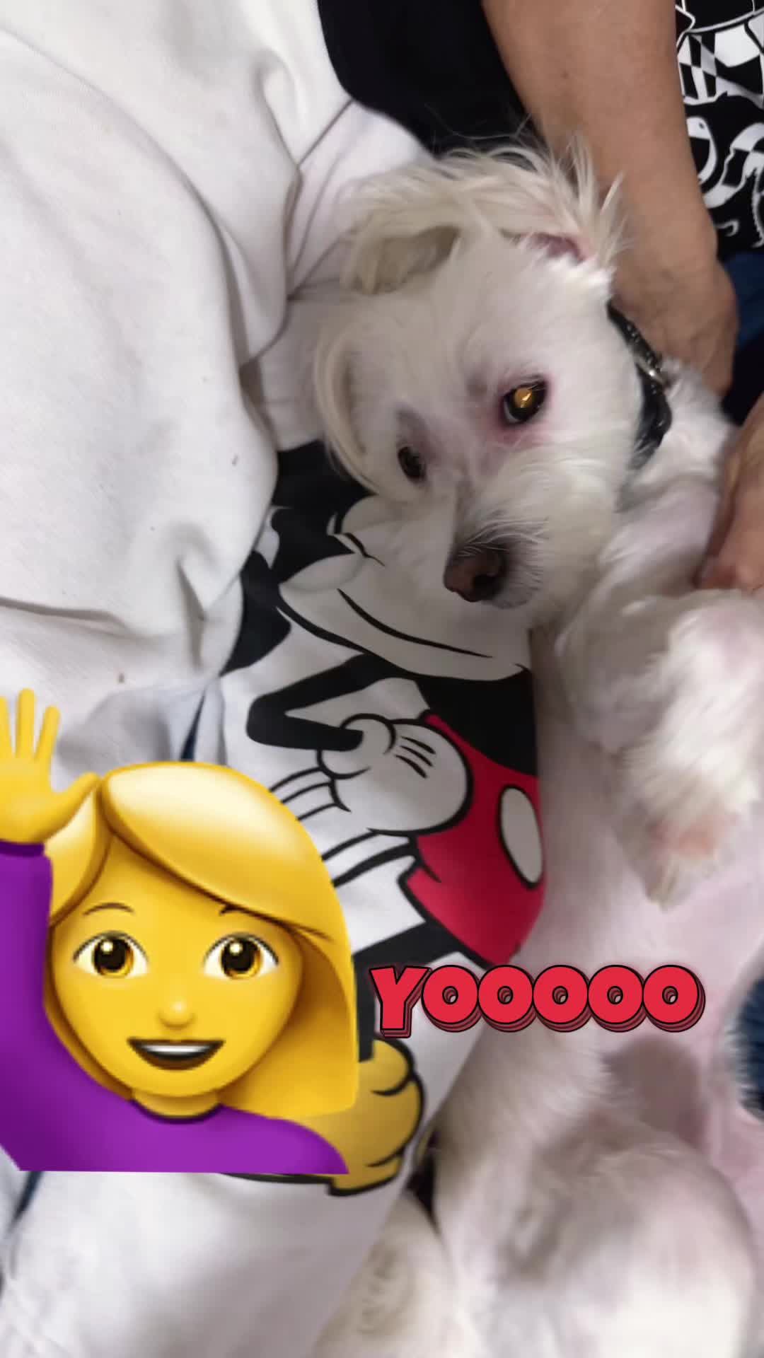 @💜Leo mi hijo de 4🐾🥰💜