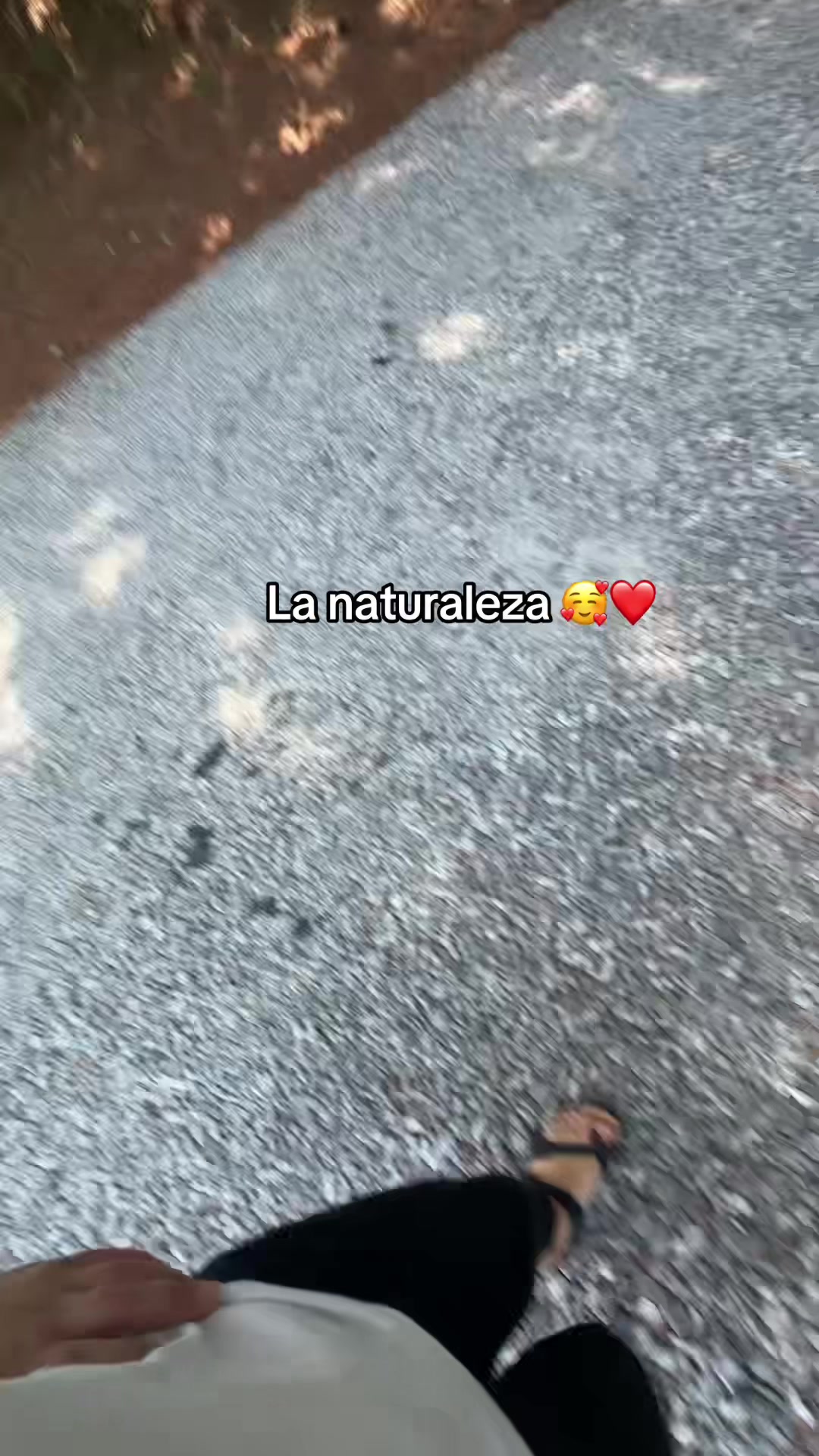 @&ldquo;DE&hellip;S&Aacute;NCHEZZ :🦋🐇