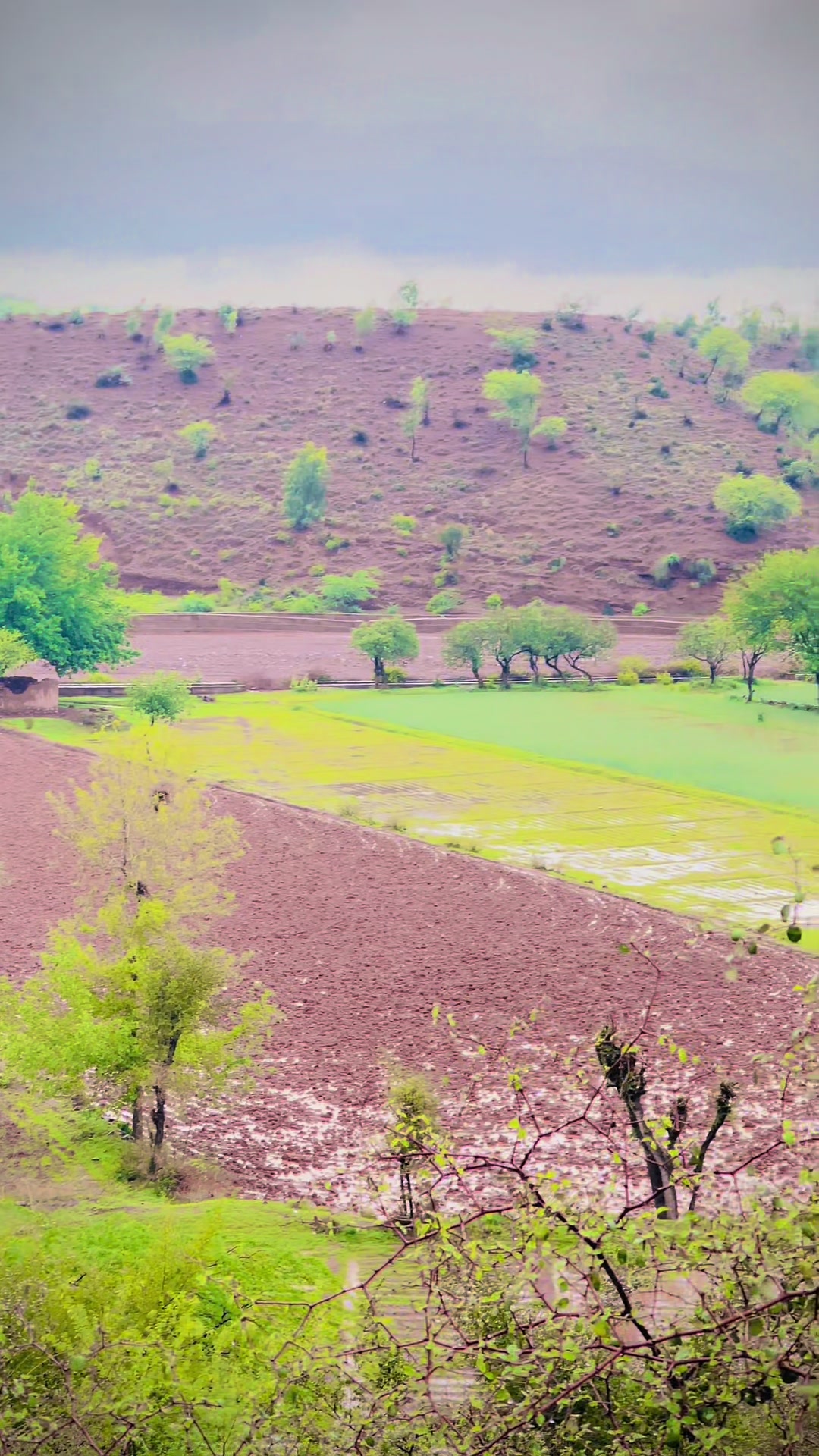 @masoom_663