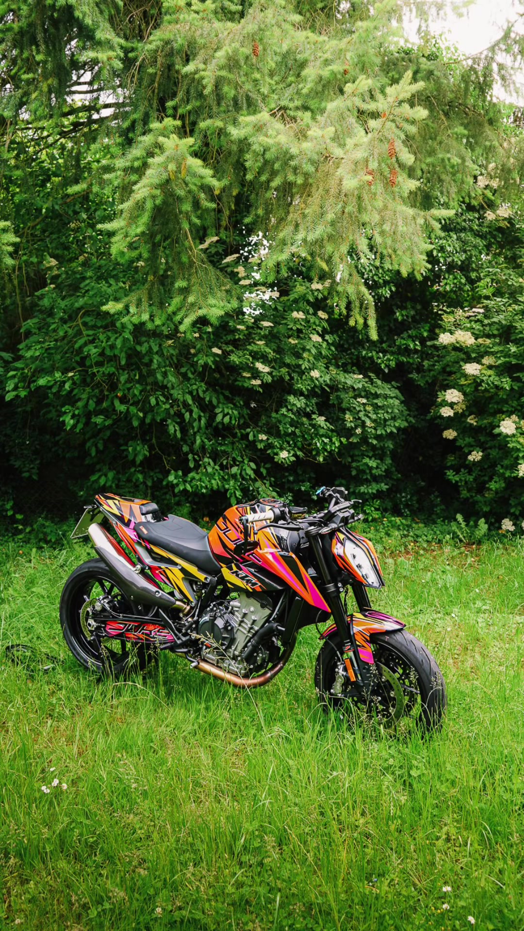 @moto_brownie