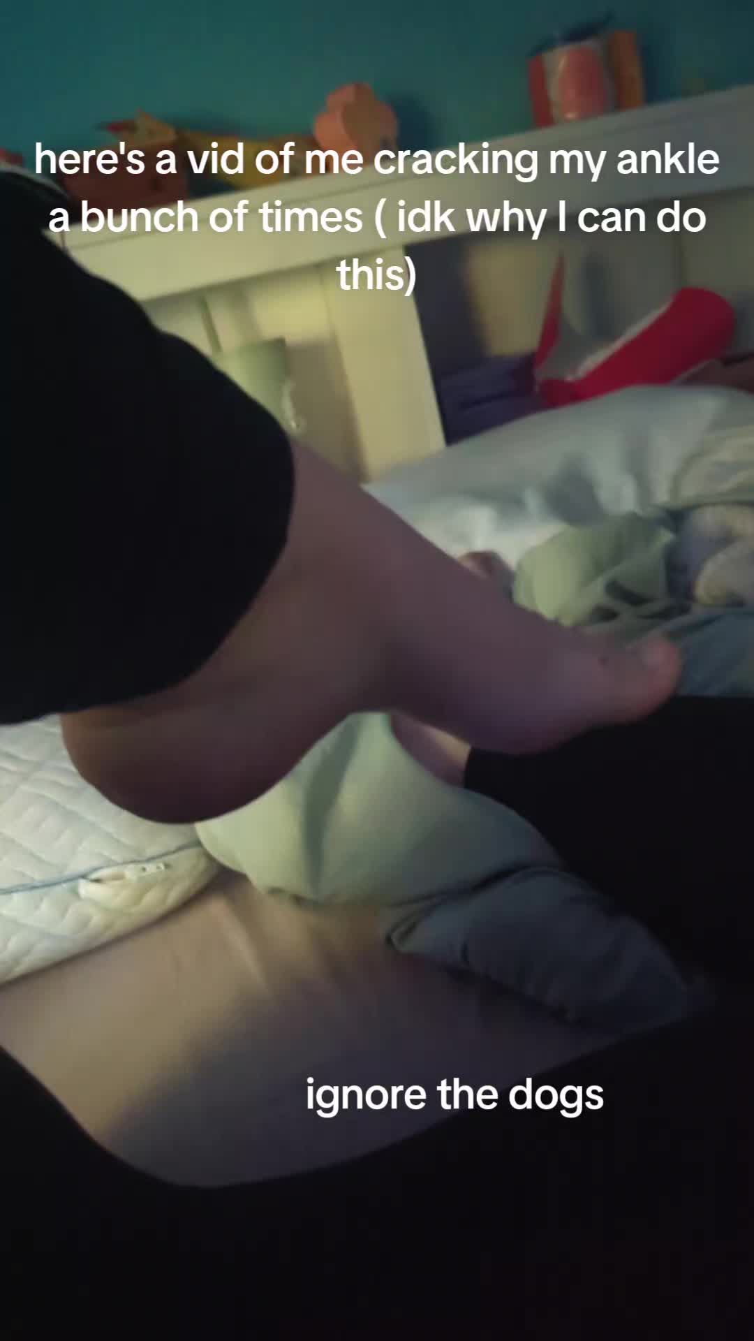 @sammich
