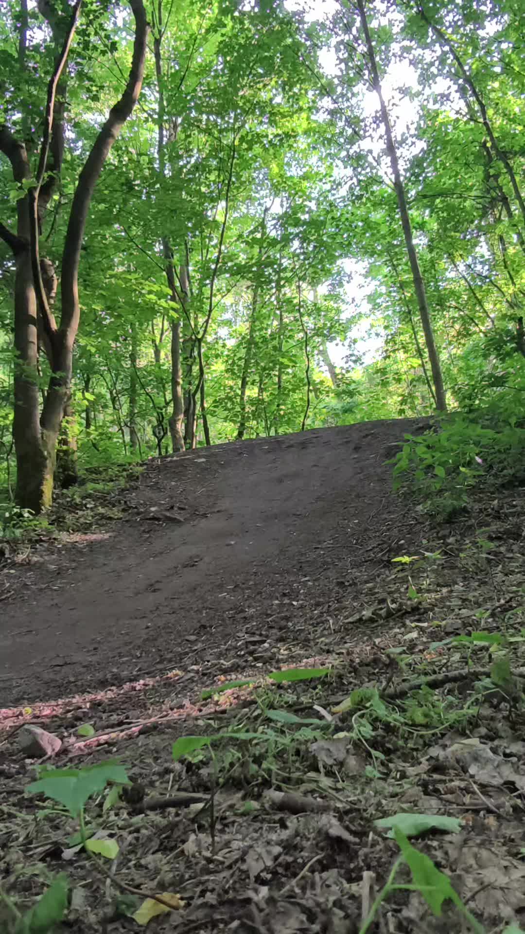 @LX_On_MTB