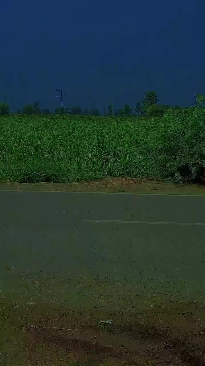 @༺★S𝒊𝒍𝒆𝒏𝒕ܔ༻