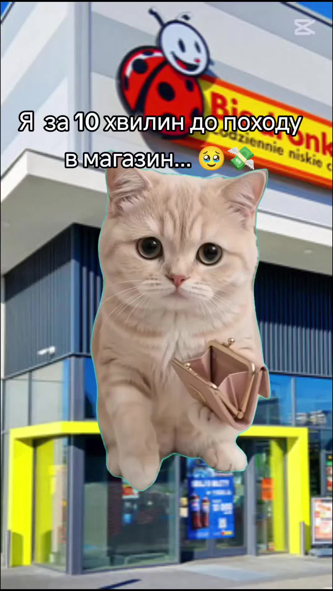 @viktoriahumenna