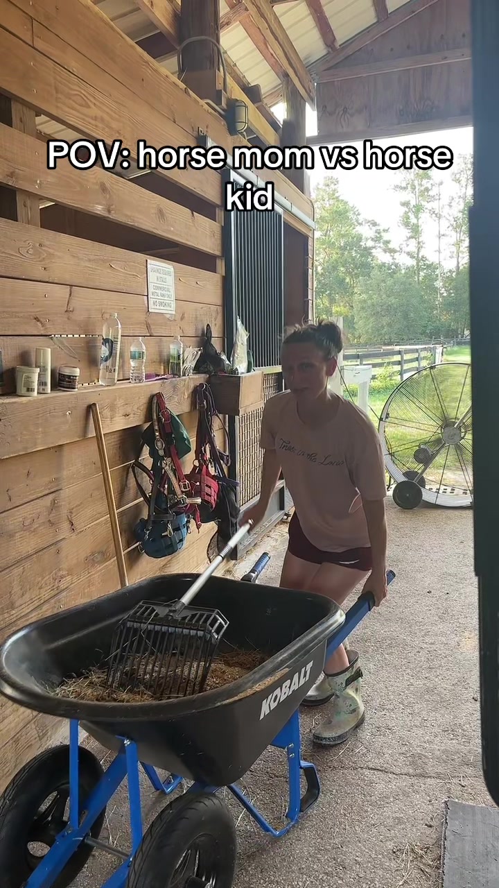 @itiswellstables