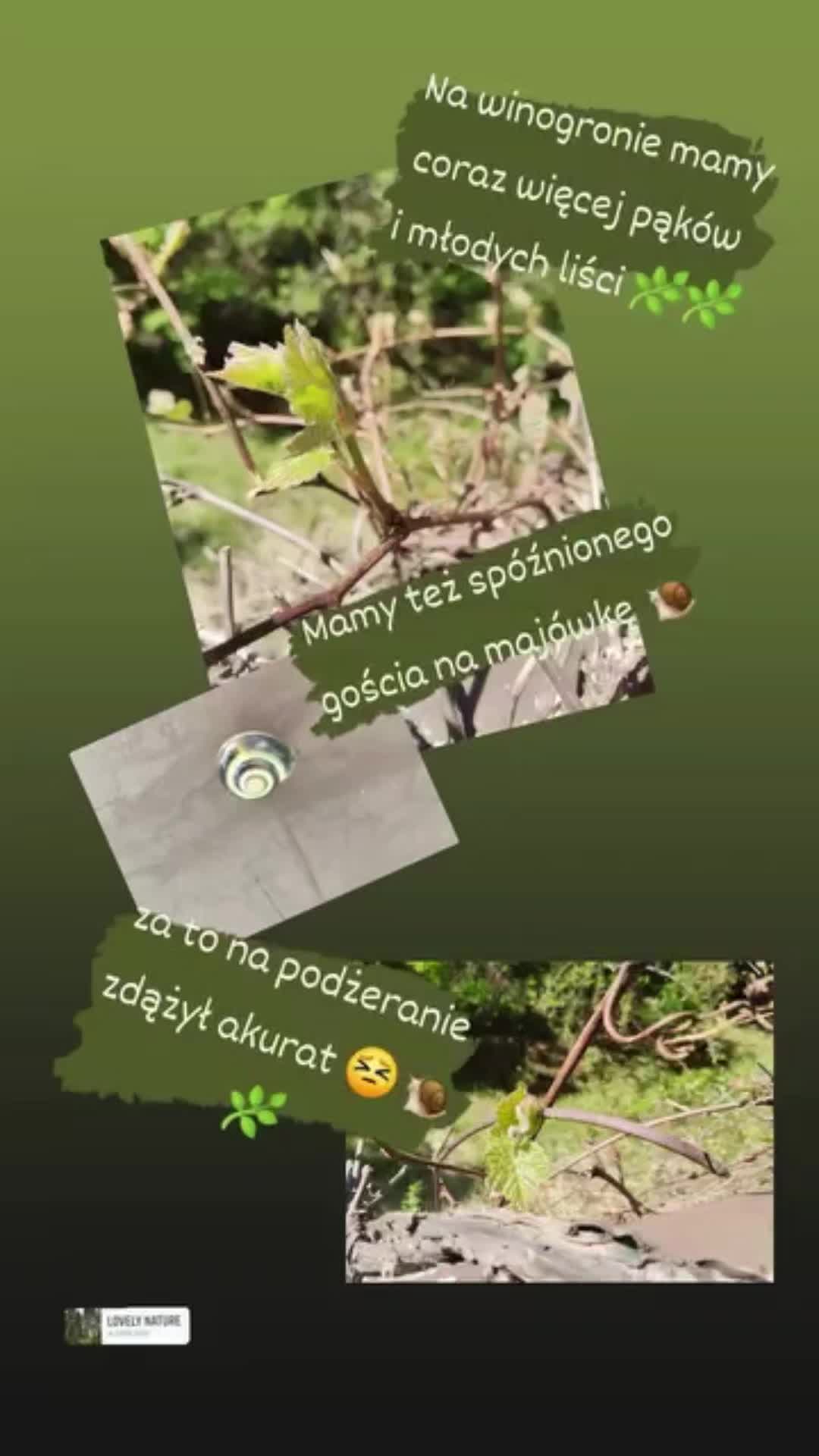 @dota_druz👋