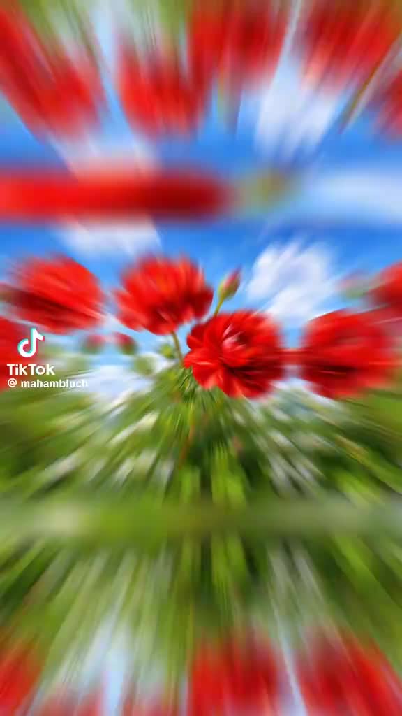 @harpal