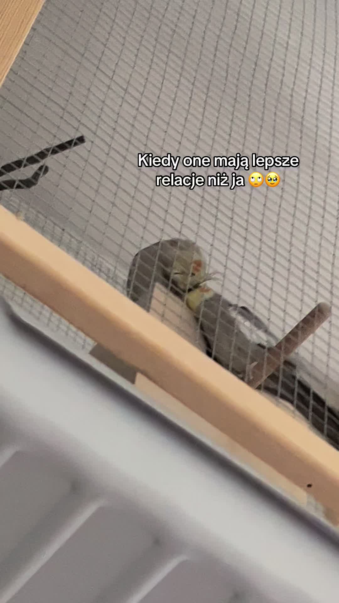 @slavic_wercia 🎶🌬️