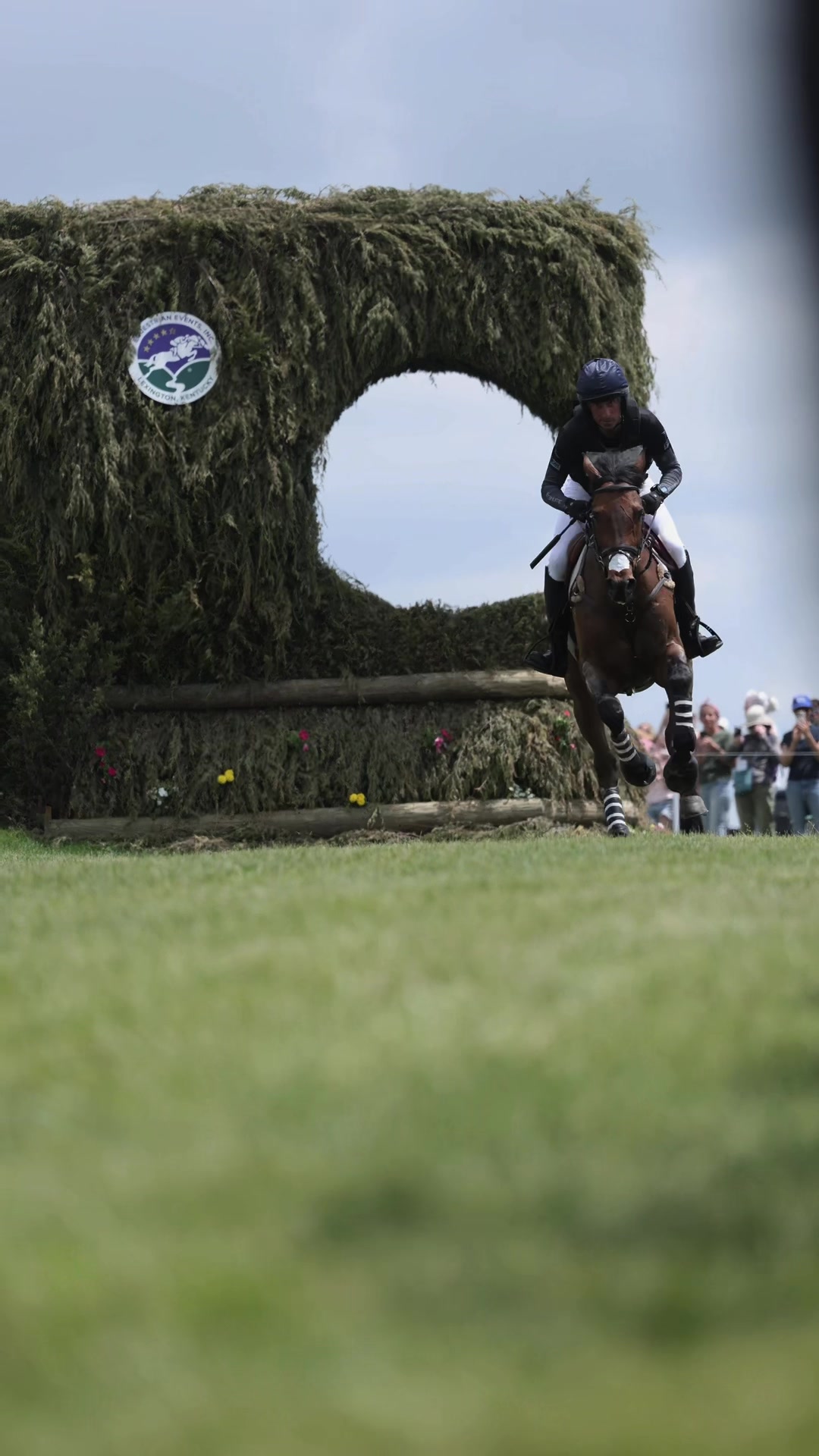@Stacy | Equine Photography