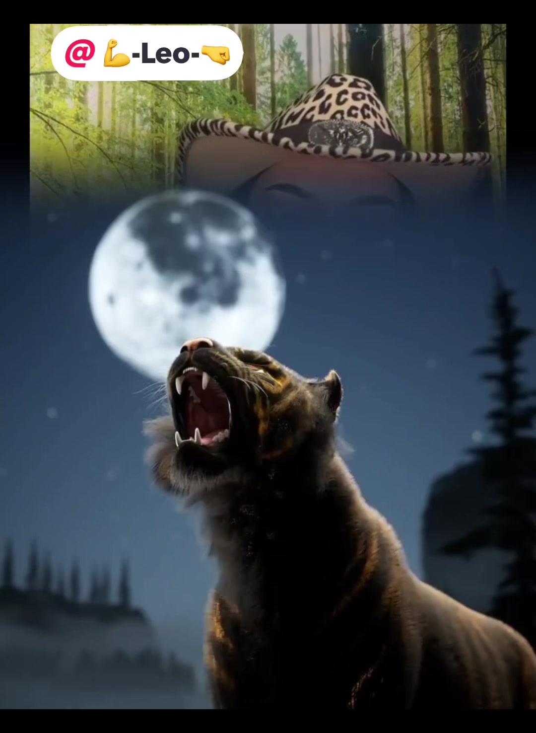 @🐆TIGRESHA.3🐾