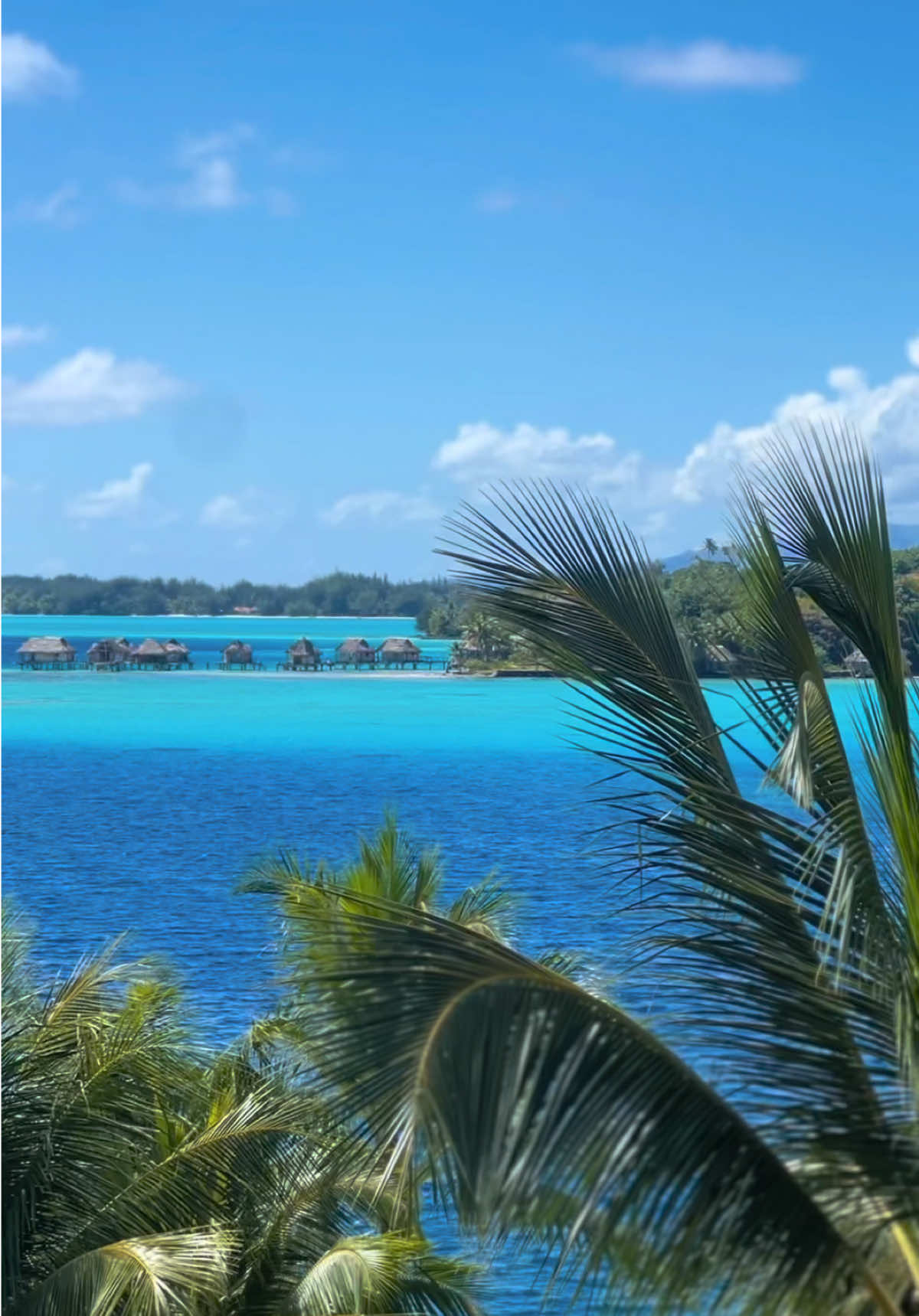 @Marine| Travel Planner Creator