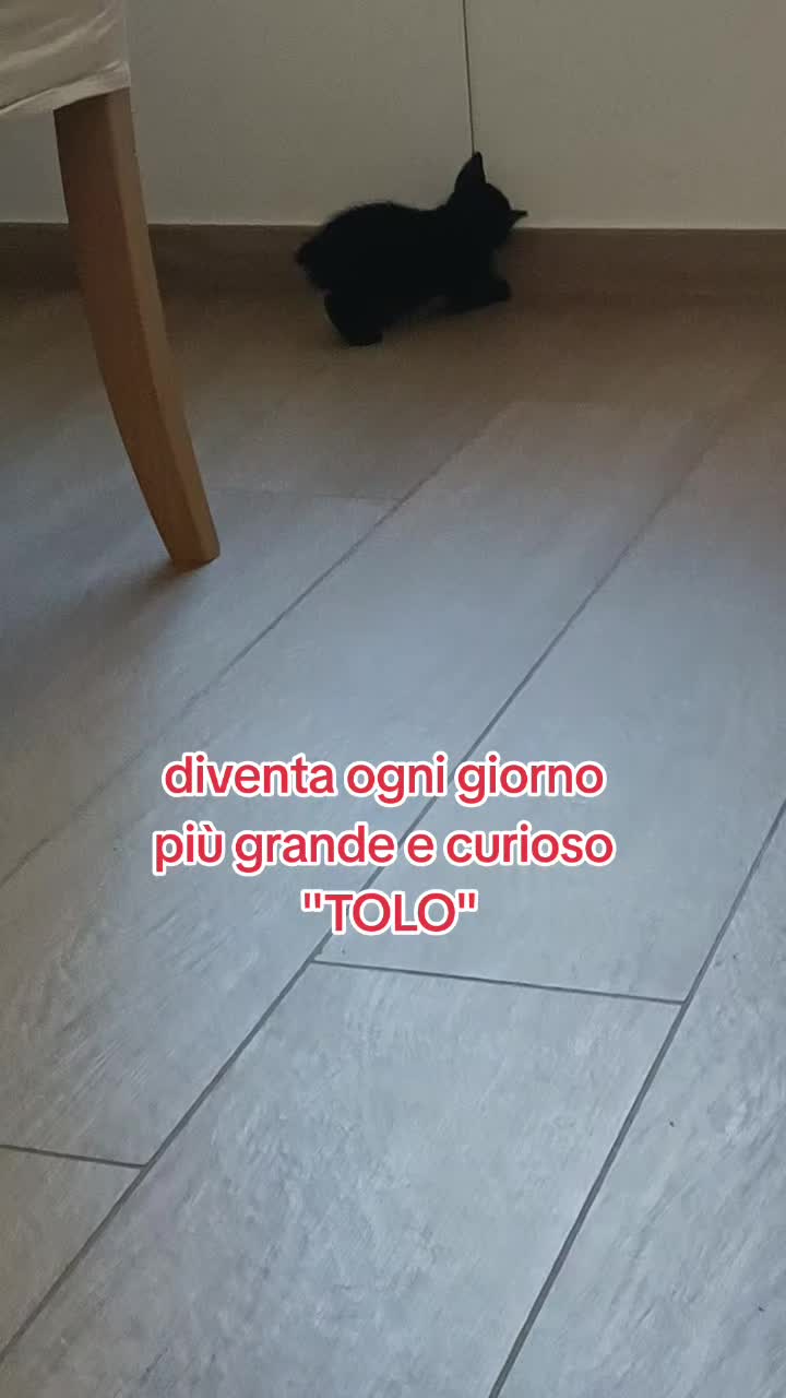 @vincenza