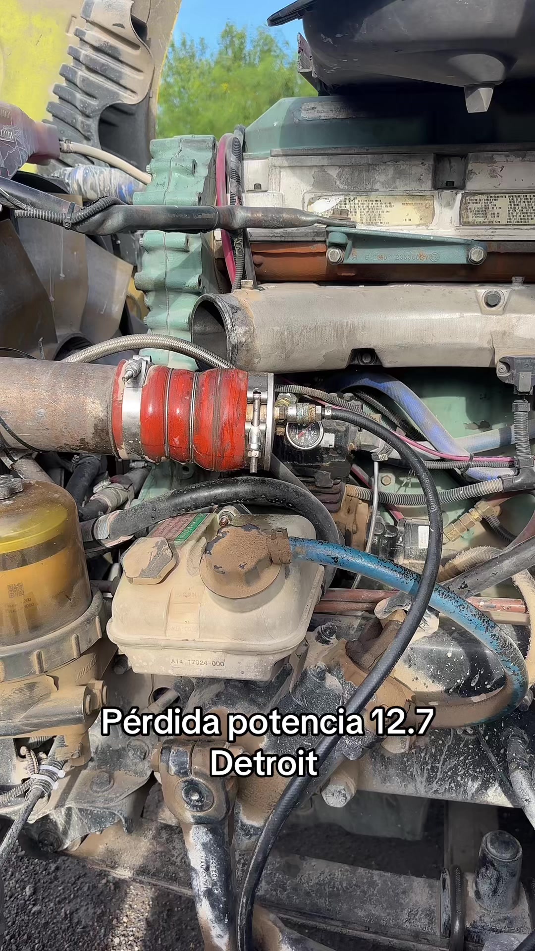 @Mechanic Rubén Molina