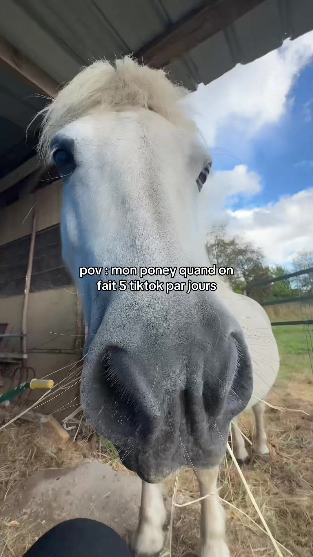 @benjyylepetitponey