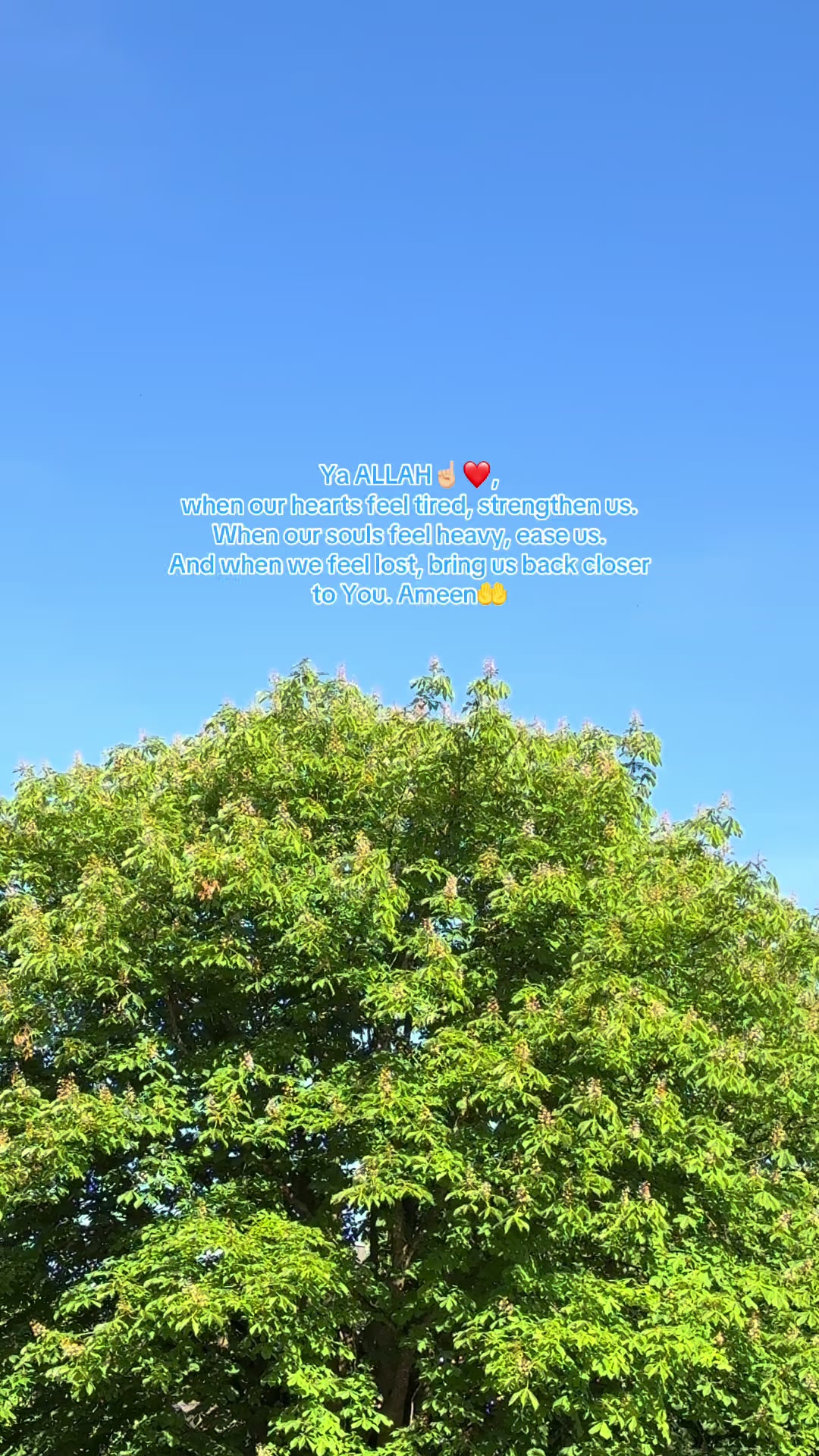 @BarakahMomentsGlobal