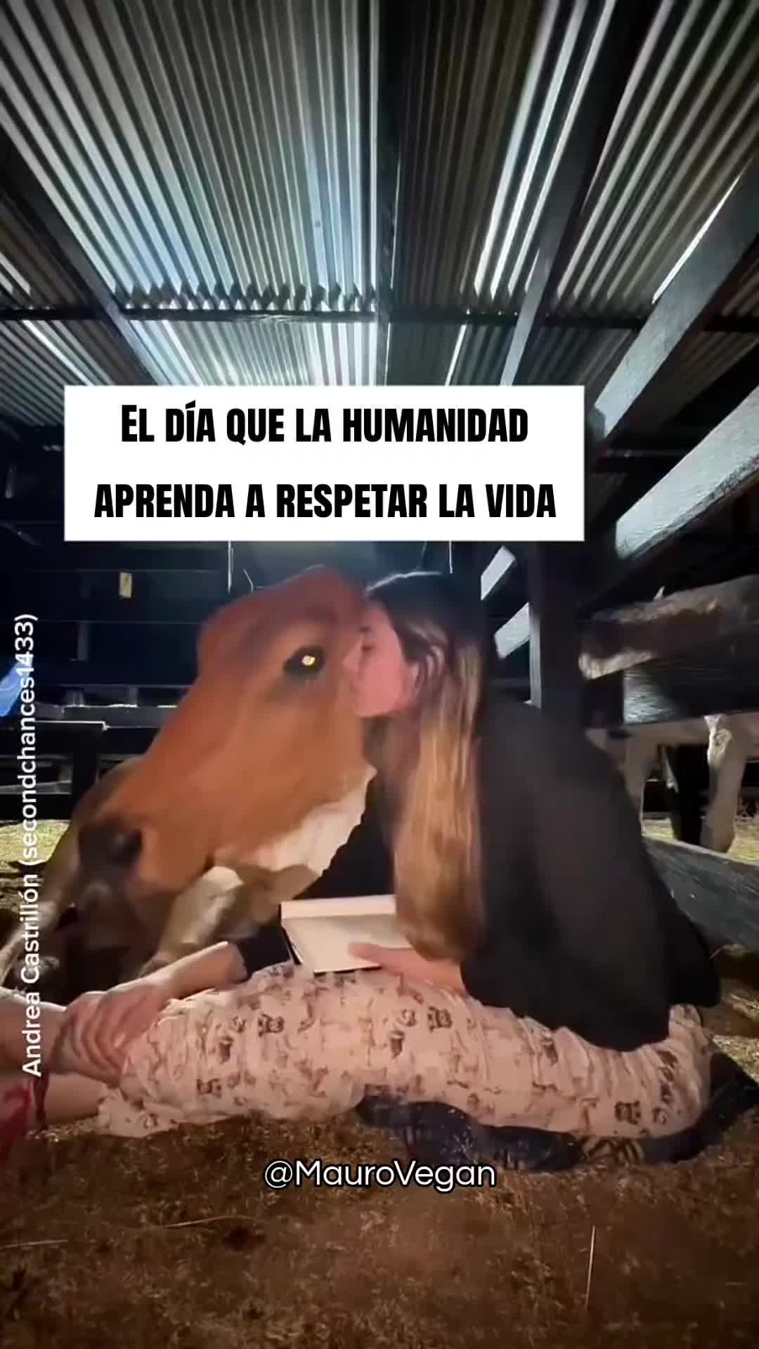 @Mauro Vegan🐑