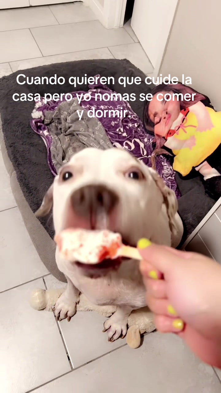 @Curvaspeligrosas33
