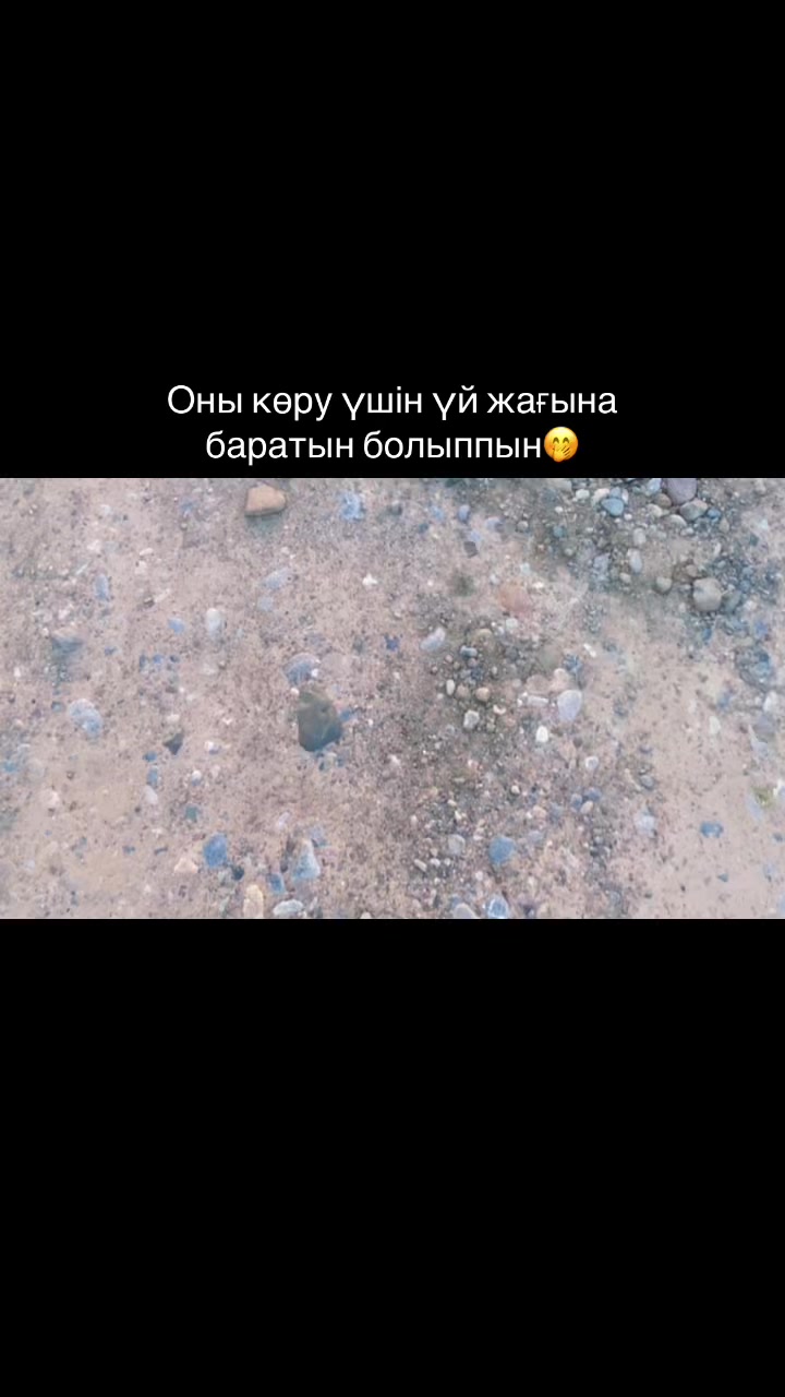 @898еуропейц🇪🇺
