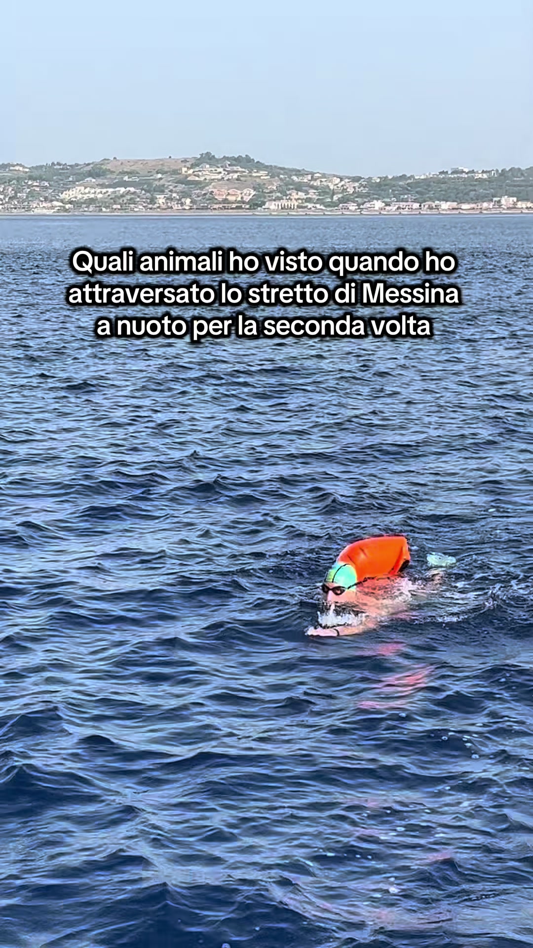 @Gianluca Mollo