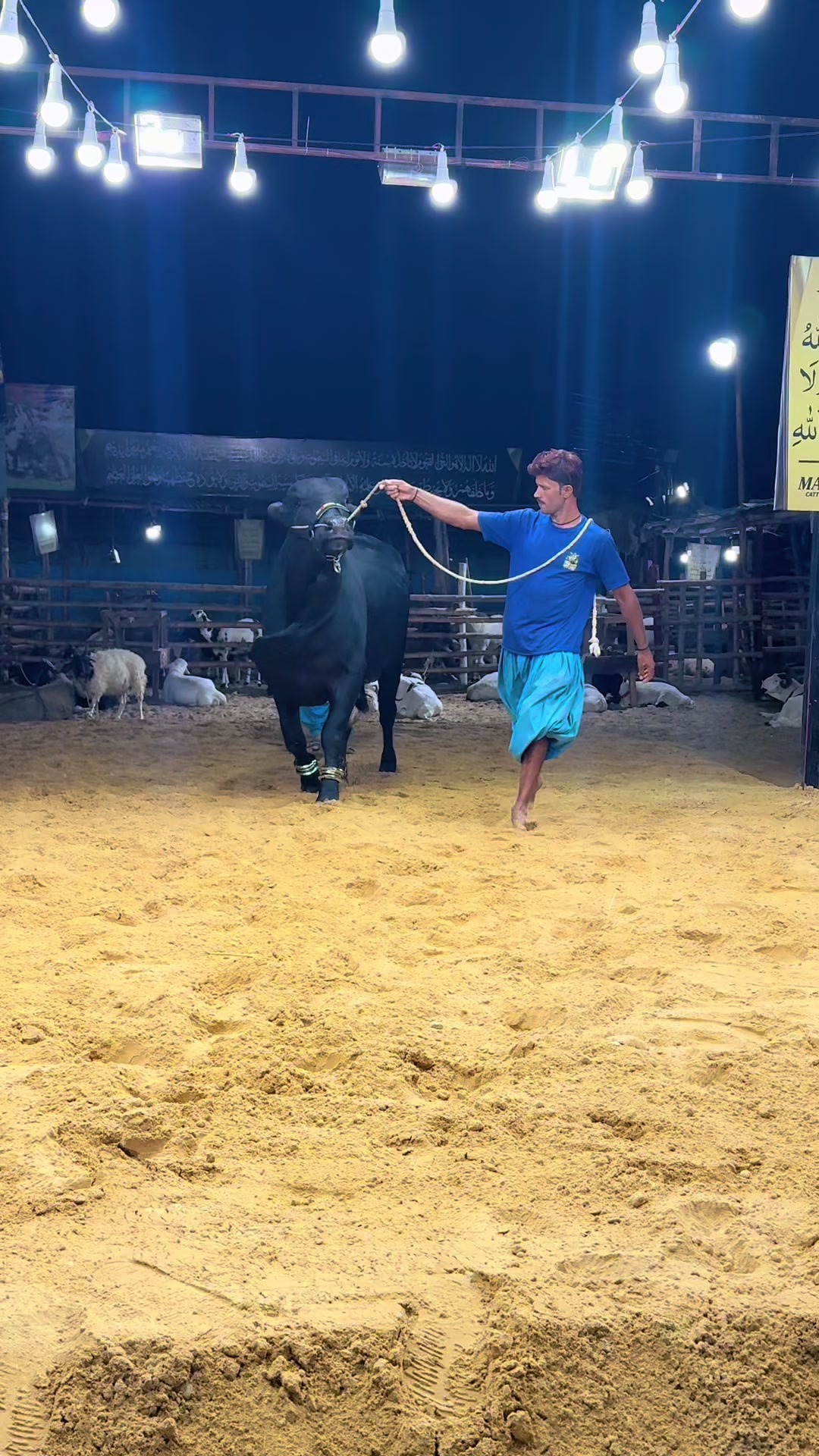 @MAJESTIC CATTLE & GOAT FARM