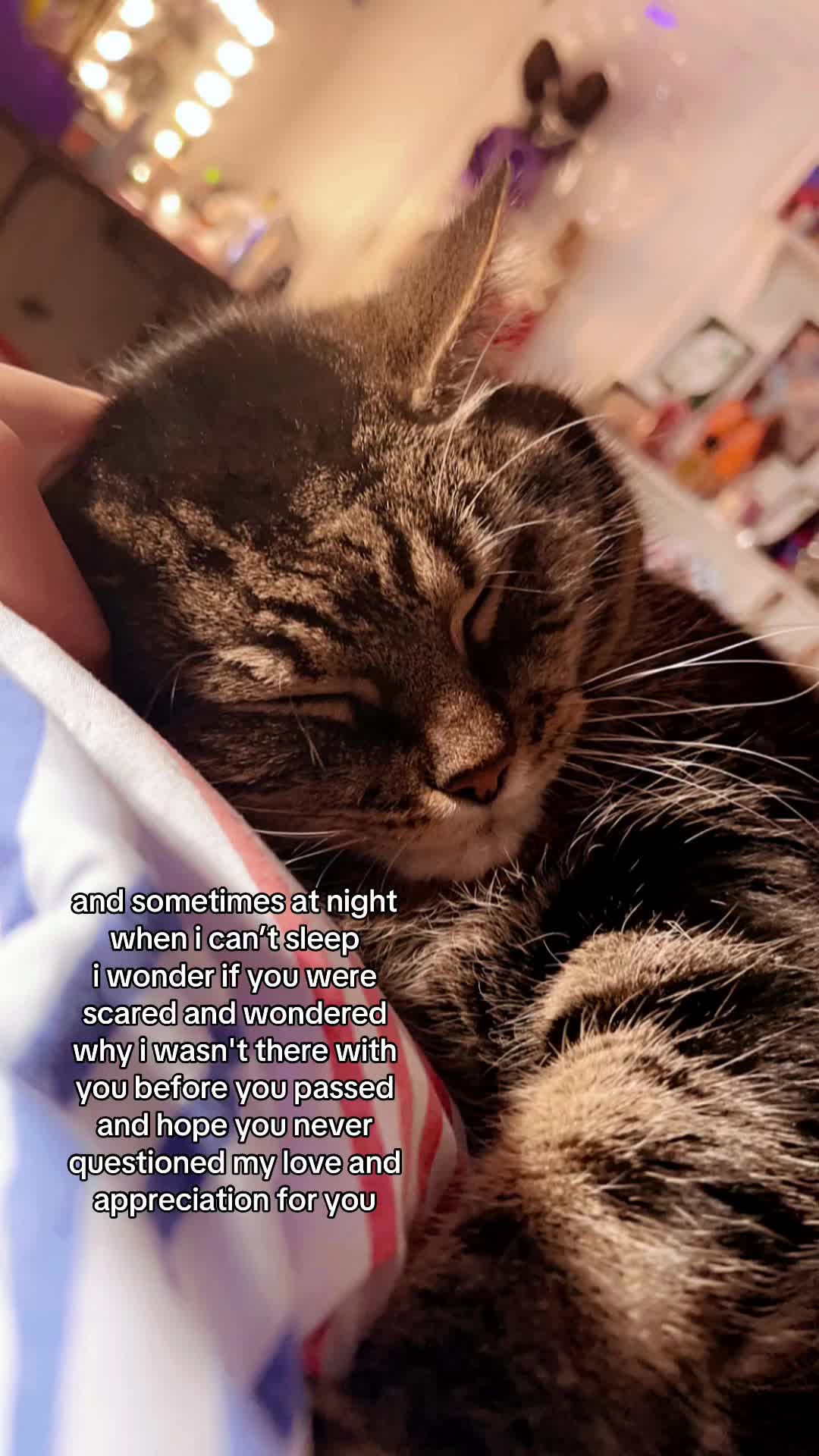 @𝒿𝒶𝓏𝓏𝓎