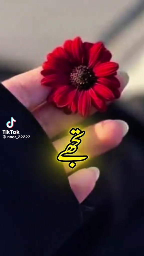 @Babi isha 03🇦🇫🌹