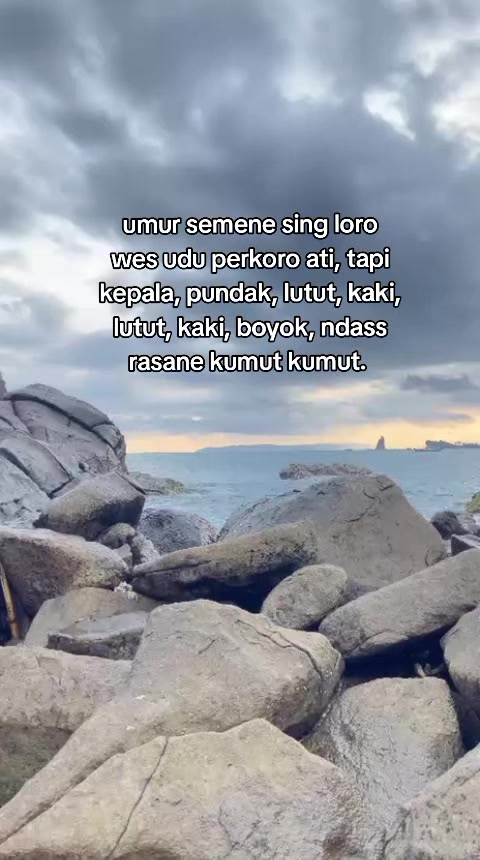 @Cyy