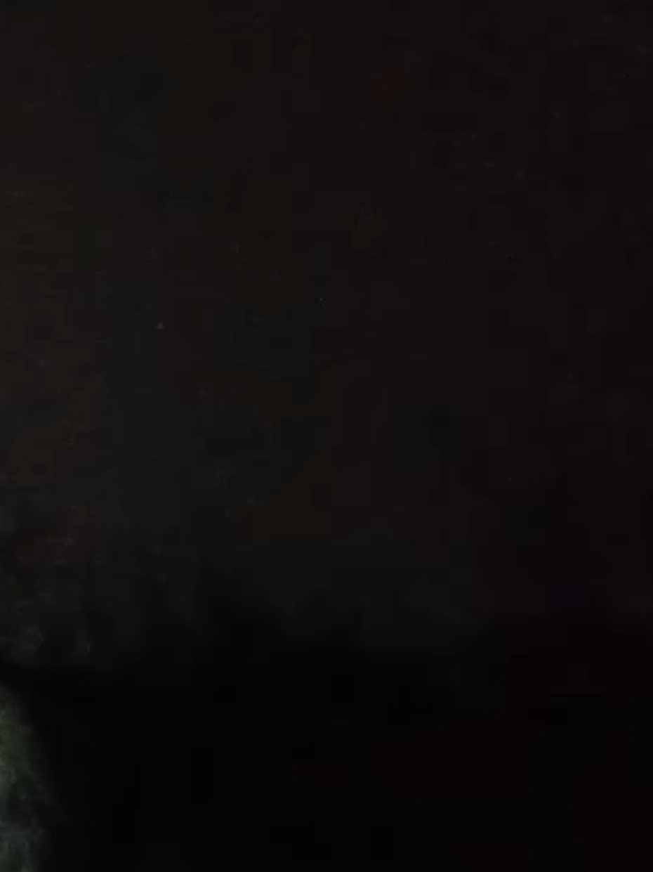 @Nikto