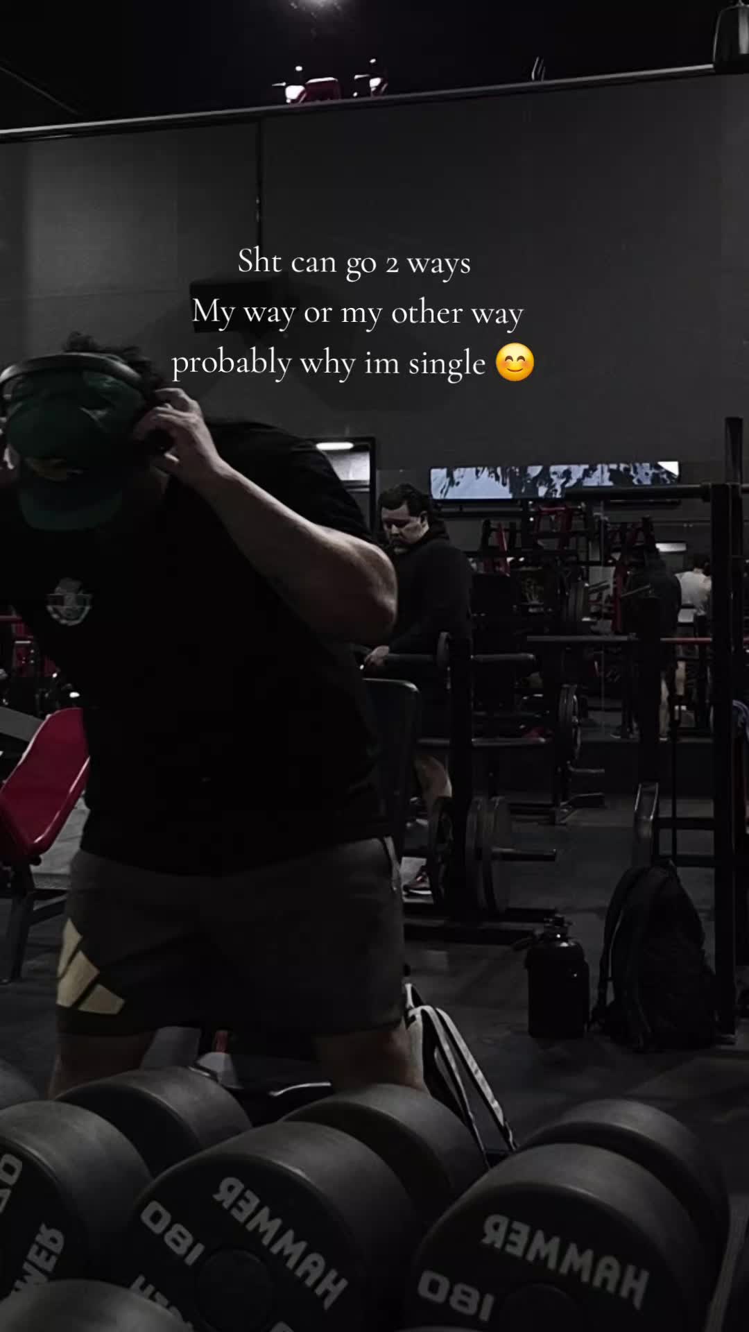 @yogi