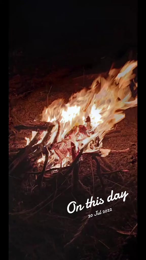 @double_clutchen_lizard