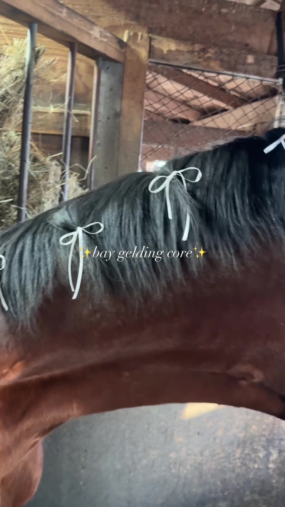 @Bethanie | Style & Horses๐ฅ