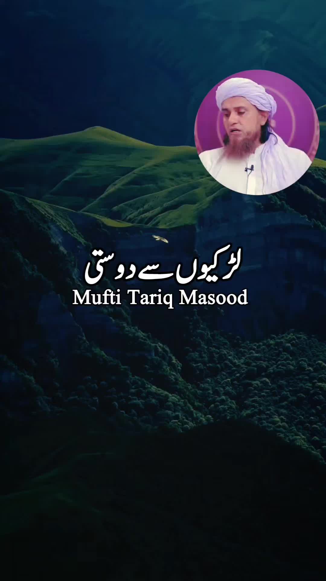 @zulfi khan