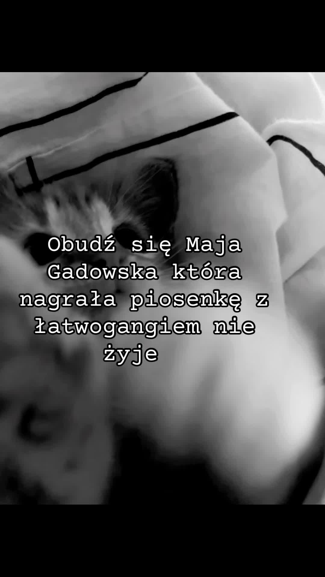 @nelkakelka