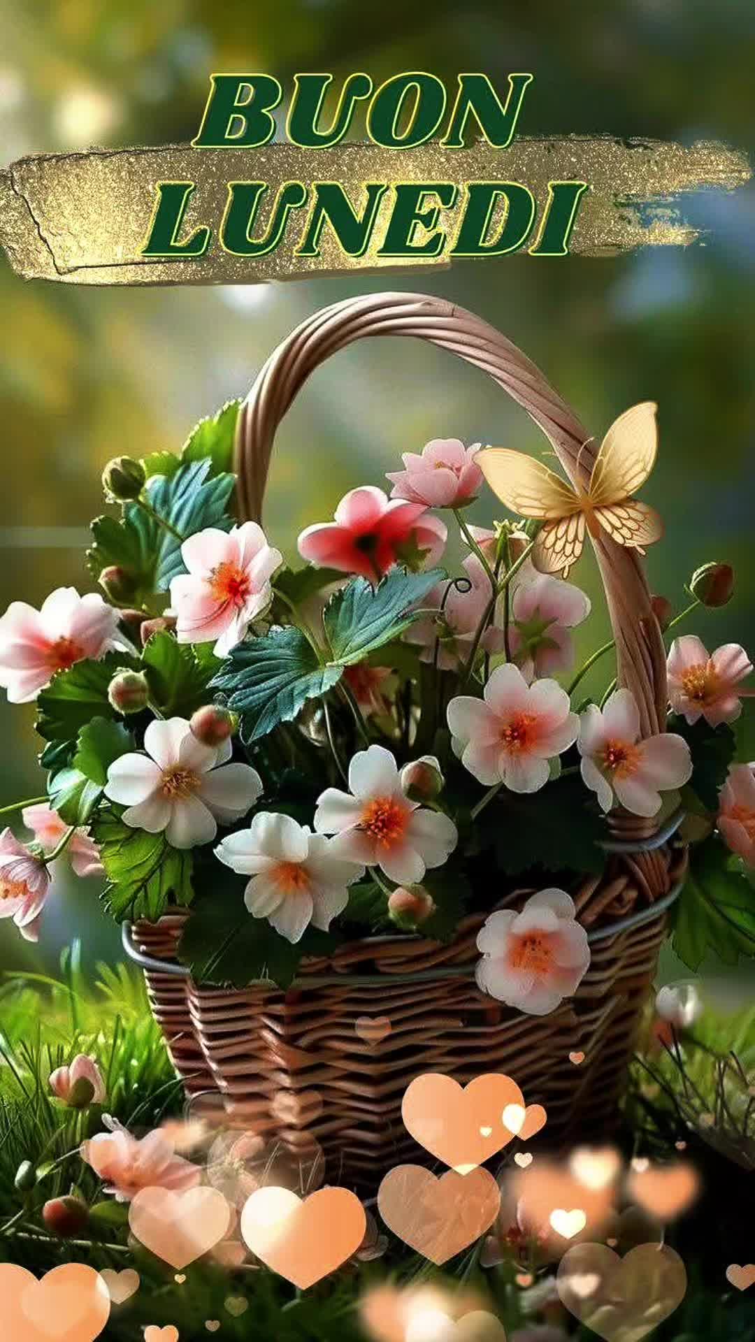 @🌞 Fede