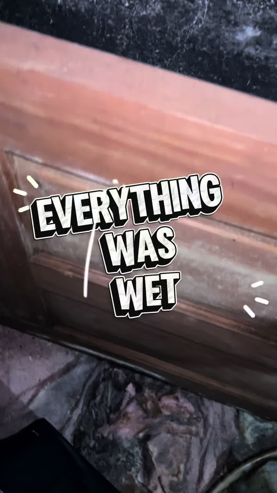 @Long Island Mold Guy