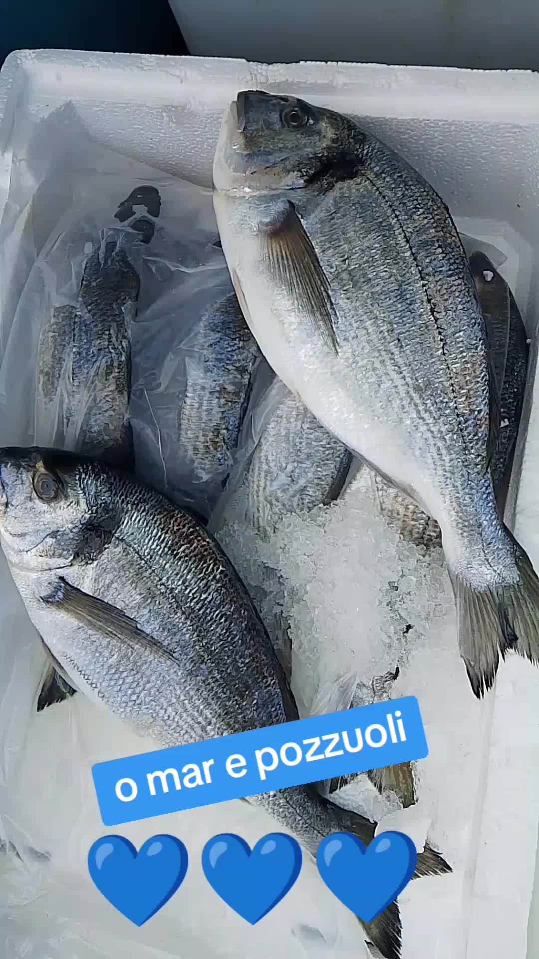 @Gino&mariella