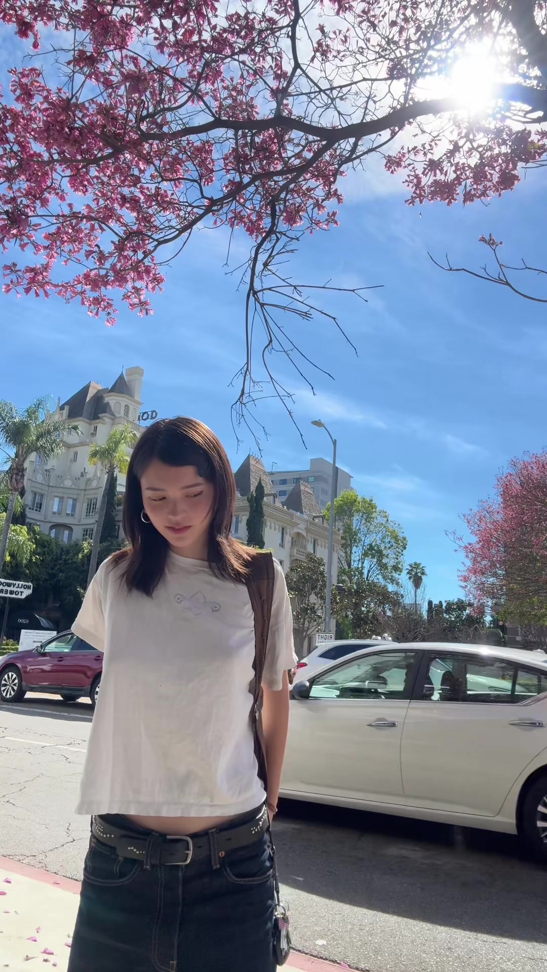 @Perchancegirl